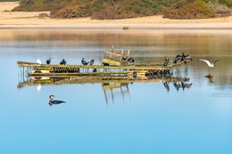 ESCOLA DE MARINHEIROS 