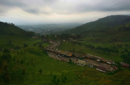 Bogor 