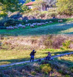OS POVOS DA MONTANHA 