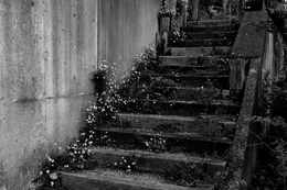 Back Stairs 