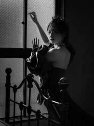 The Shadow of the Hand and the Window 