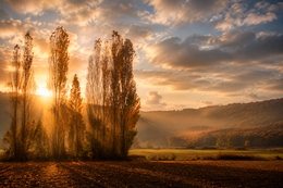 Campos de Alava 