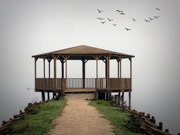 Observatório de aves 
