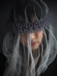 Veil 