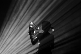 Entre a Luz e a sombra 