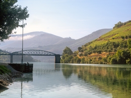 Uma Ponte na Vinha 