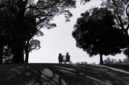 A couple 