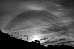 Sunset Halos 