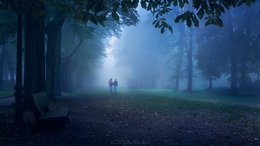 Paseo por la niebla 