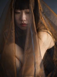 Veil  