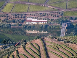 A Vinha do Douro 