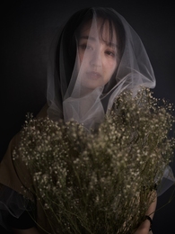 Veil 