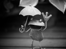 Say Hello on Rainy Days 