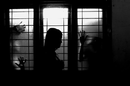 haunting shadows 