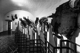 MURAL DOS CAÍDOS 