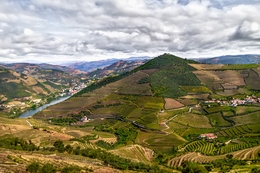 DOURO - PINHÃO 