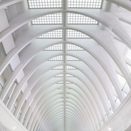 Dreamed arches 