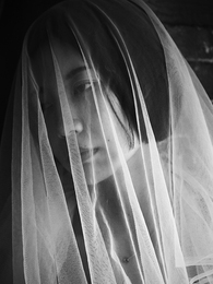 Veil  