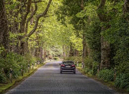Uma Curva na Estrada 