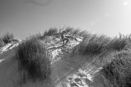 DUNAS 