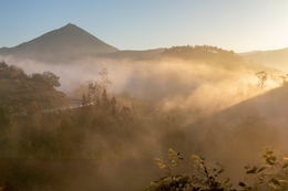 MONTE FARINHA 