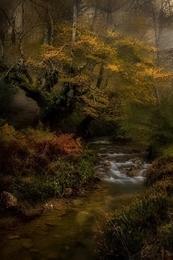 Gorbea 