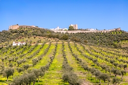 ÉVORA MONTE 
