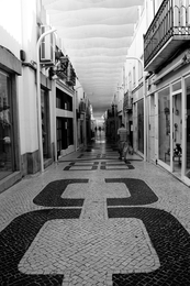 Street with a roof 