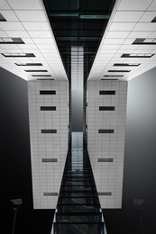 The Crane Houses 