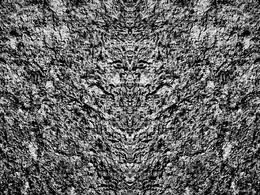 metamorphosis 