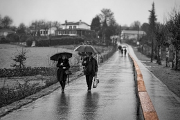 Manhã de chuva 