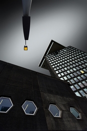 The Yellow Light District 
