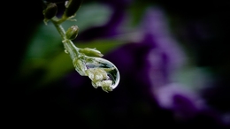 Encapsulated 