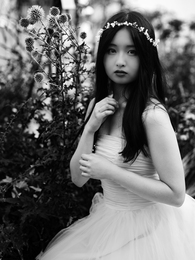 A White Dress Beside the Thorns 