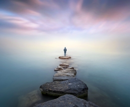 The search 