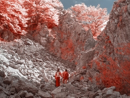 Hiking - infrared 590 nm 