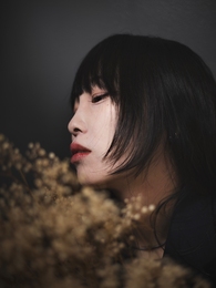 Bloom  