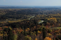 The colors of autumn 