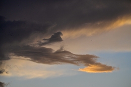 Céu de Castelo Branco 