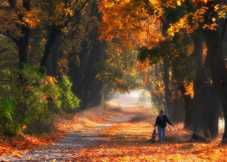 Autumn in Poland 