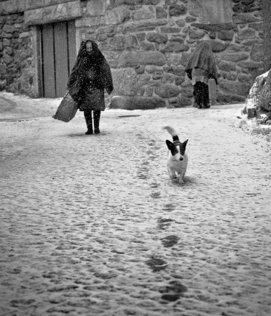 Snow 