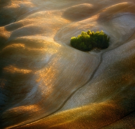 Fields... 