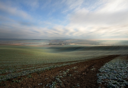 field's landscape 