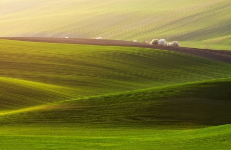 green field 