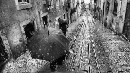 Rainy day 