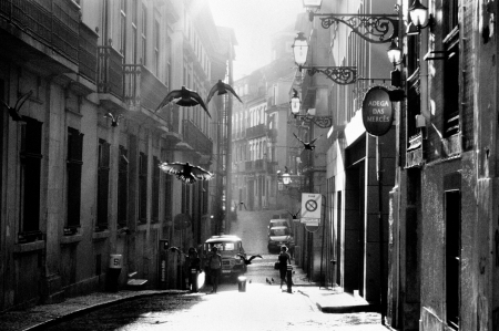 Bairro Alto 