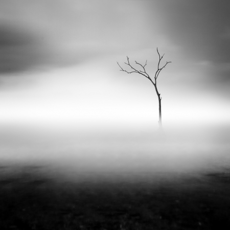 survival_in_silent_mood by Imran Kadir - FINEART-PORTUGAL