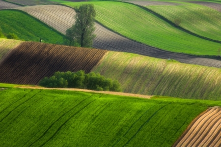 Poland 