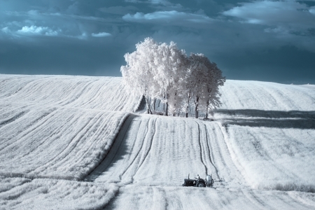 Poland II 