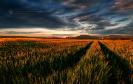 evening time 